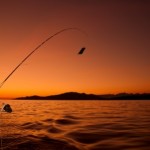 fishing charter