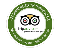 tripadvisor recommended business