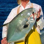 Check out this big fish caught in the Florida Keys on Captain Wayne's fishing charter. A fish caught on a fishing charter in the Florida Keys