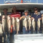 mdfish